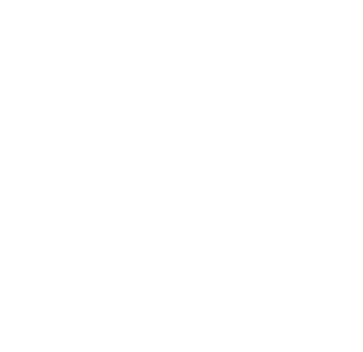 UNDAUNTED WHITE LOGO